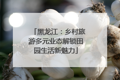 黑龙江：乡村旅游多元业态解锁田园生活新魅力