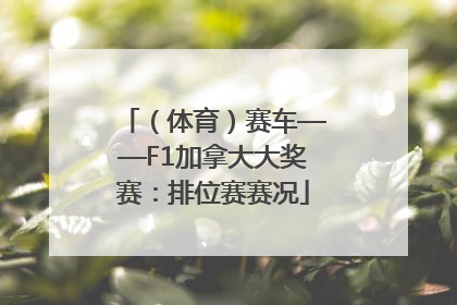 （体育）赛车——F1加拿大大奖赛：排位赛赛况
