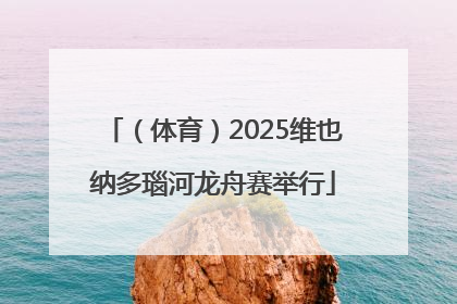 （体育）2025维也纳多瑙河龙舟赛举行