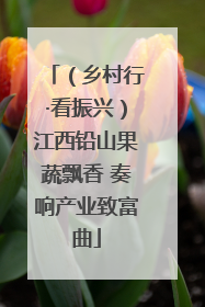 （乡村行·看振兴）江西铅山果蔬飘香 奏响产业致富曲