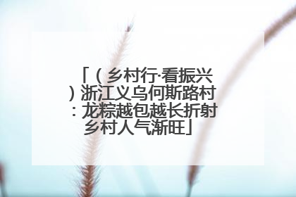 （乡村行·看振兴）浙江义乌何斯路村：龙粽越包越长折射乡村人气渐旺