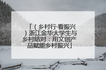 （乡村行·看振兴）浙江金华大学生与乡村结对：用文创产品赋能乡村振兴