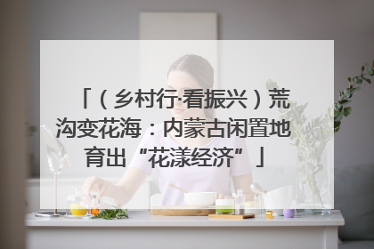 （乡村行·看振兴）荒沟变花海：内蒙古闲置地育出“花漾经济”