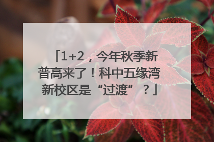 1+2，今年秋季新普高来了！科中五缘湾新校区是“过渡”？