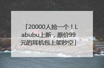20000人抢一个！Labubu上新，原价99元的耳机包上架秒空