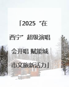 2025“在西宁”超级演唱会开唱 赋能城市文旅新活力