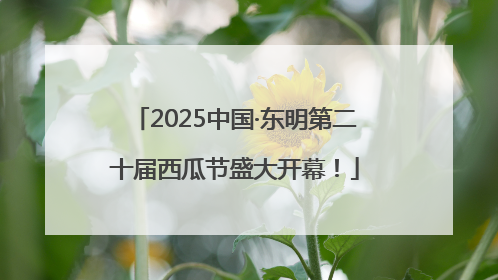 2025中国·东明第二十届西瓜节盛大开幕！