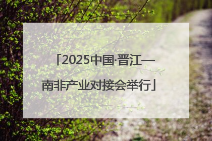 2025中国·晋江—南非产业对接会举行