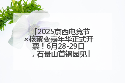 2025京西电竞节×核聚变嘉年华正式开票！6月28-29日，石景山首钢园见