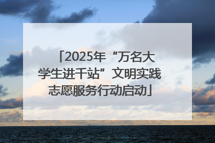 2025年“万名大学生进千站”文明实践志愿服务行动启动