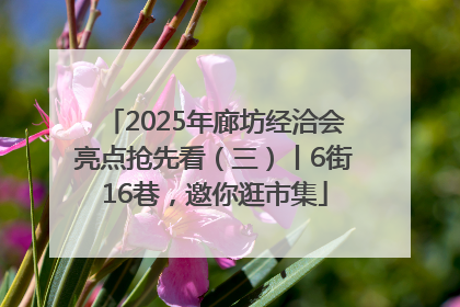 2025年廊坊经洽会亮点抢先看（三）丨6街16巷，邀你逛市集