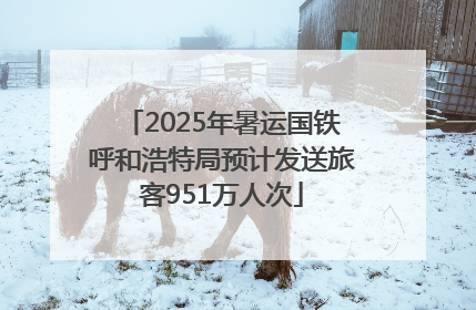2025年暑运国铁呼和浩特局预计发送旅客951万人次