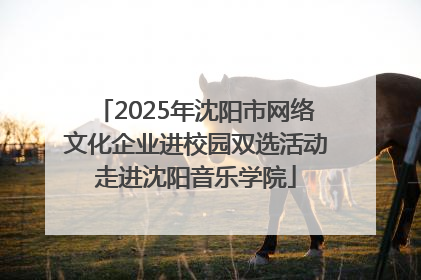 2025年沈阳市网络文化企业进校园双选活动走进沈阳音乐学院