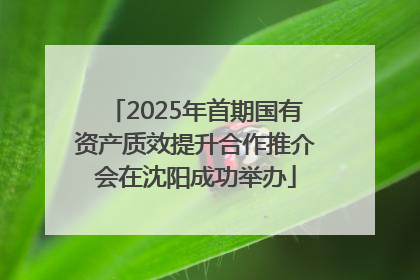 2025年首期国有资产质效提升合作推介会在沈阳成功举办
