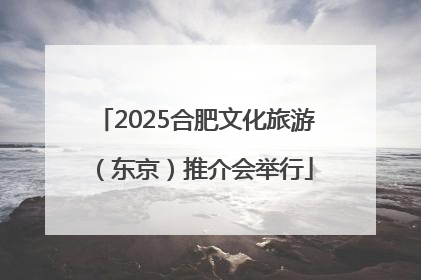 2025合肥文化旅游（东京）推介会举行
