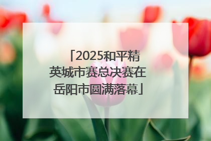 2025和平精英城市赛总决赛在岳阳市圆满落幕