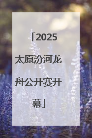 2025太原汾河龙舟公开赛开幕