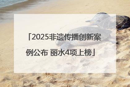 2025非遗传播创新案例公布 丽水4项上榜