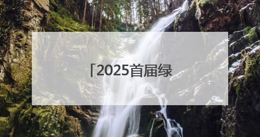 2025首届绿电铝论坛召开