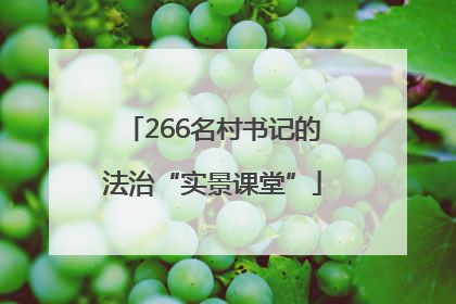 266名村书记的法治“实景课堂”