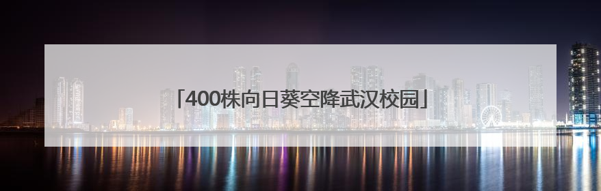 400株向日葵空降武汉校园