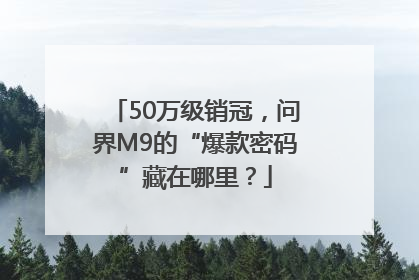 50万级销冠，问界M9的“爆款密码”藏在哪里？