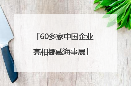 60多家中国企业亮相挪威海事展