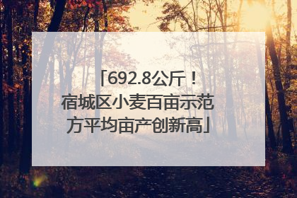 692.8公斤！宿城区小麦百亩示范方平均亩产创新高