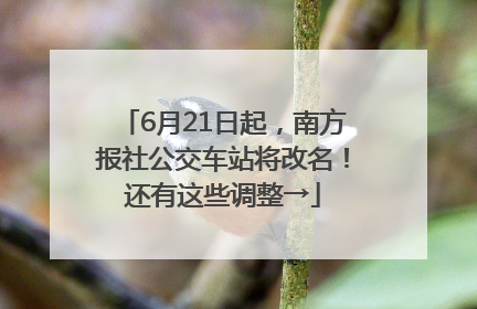6月21日起，南方报社公交车站将改名！还有这些调整→