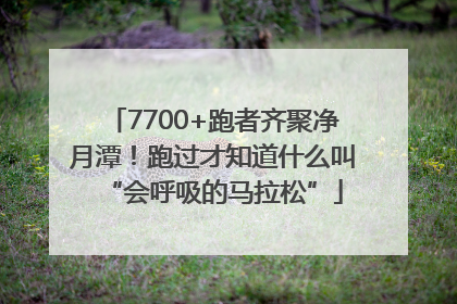 7700+跑者齐聚净月潭！跑过才知道什么叫“会呼吸的马拉松”