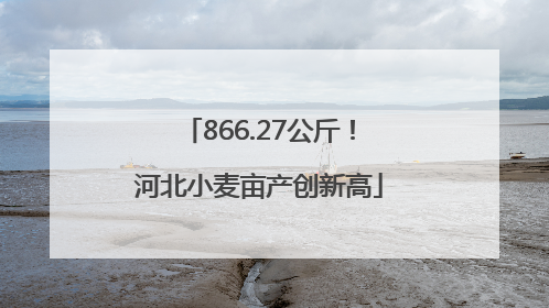866.27公斤！河北小麦亩产创新高