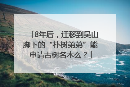 8年后，迁移到吴山脚下的“朴树弟弟”能申请古树名木么？