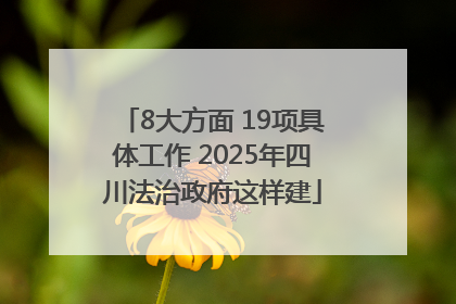 8大方面 19项具体工作 2025年四川法治政府这样建