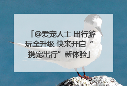 @爱宠人士 出行游玩全升级 快来开启“携宠出行”新体验
