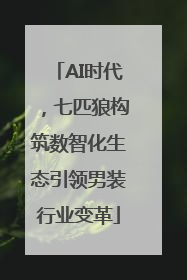 AI时代，七匹狼构筑数智化生态引领男装行业变革