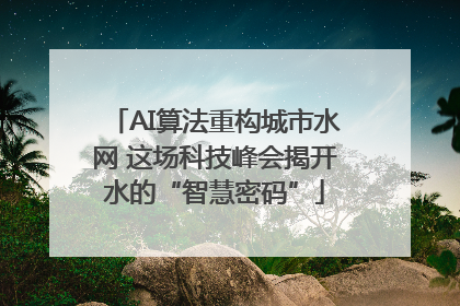 AI算法重构城市水网 这场科技峰会揭开水的“智慧密码”