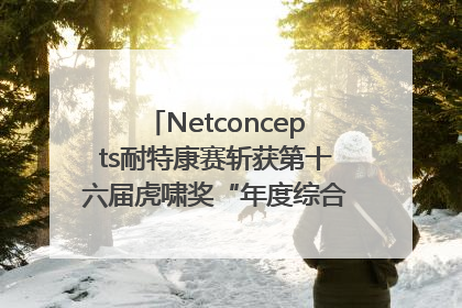 Netconcepts耐特康赛斩获第十六届虎啸奖“年度综合服务商”大奖