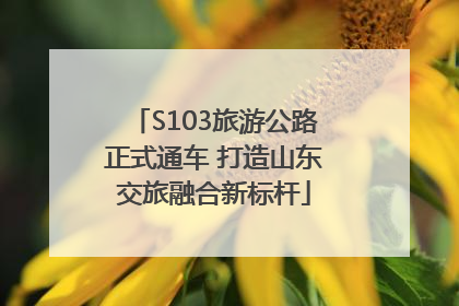 S103旅游公路正式通车 打造山东交旅融合新标杆
